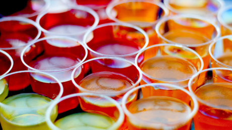 jak-vyrobit-zele-panaky-recept-navod