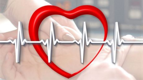 Jak správně kontrolovat puls