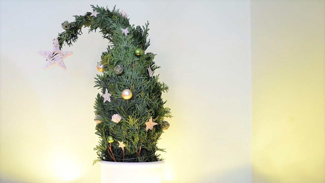 Jak vyrobit vánoční stromeček z tuje
