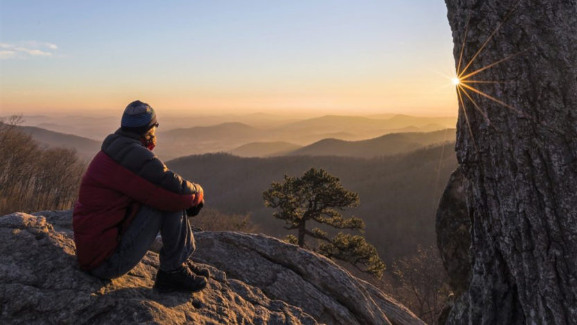 Jak přežít v divočině