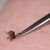 jak-vytahnout-kliste