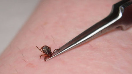 jak-vytahnout-kliste