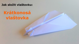kratkonosa-vlastovka