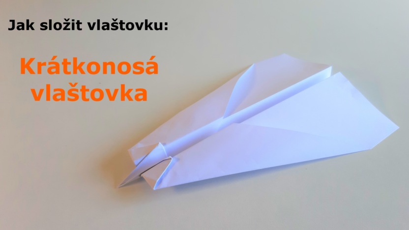 kratkonosa-vlastovka