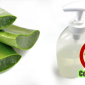 Jak vyrobit Desinfekční gel na ruce z aloe vera a ethanolu