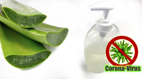 Jak vyrobit Desinfekční gel na ruce z aloe vera a ethanolu