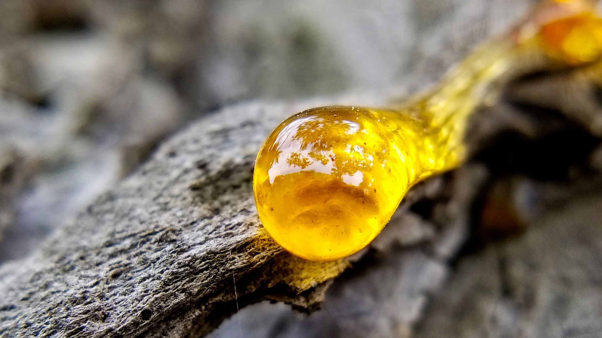 Jak odstranit smůlu z oblečení, vlasů nebo auta